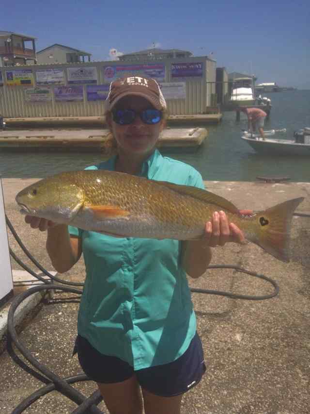 Suzanne Helm Happy Valentine's DayPort O'Connorredfish