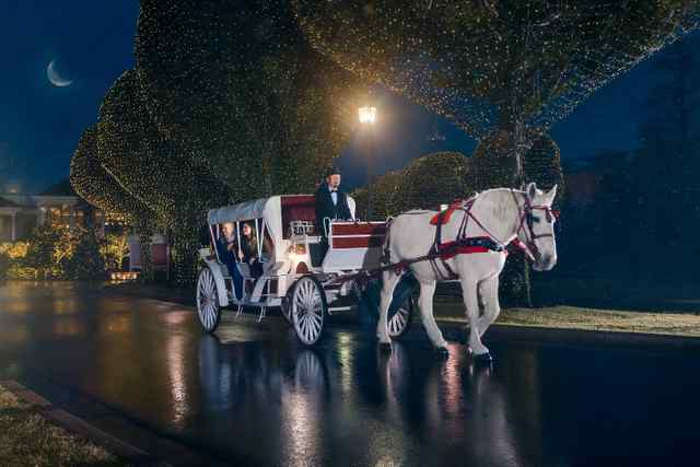 Gaylord Opryland carriage_rides.jpeg Gaylord Opryland carriage_rides.jpeg