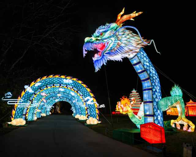 Nashville ZOO at Grassmere dragon lights.jpeg Nashville ZOO at Grassmere dragon lights.jpeg