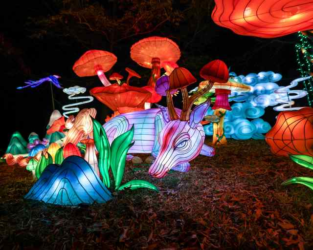 Nashville ZOO at Grassmere lights deer.jpeg Nashville ZOO at Grassmere lights deer.jpeg