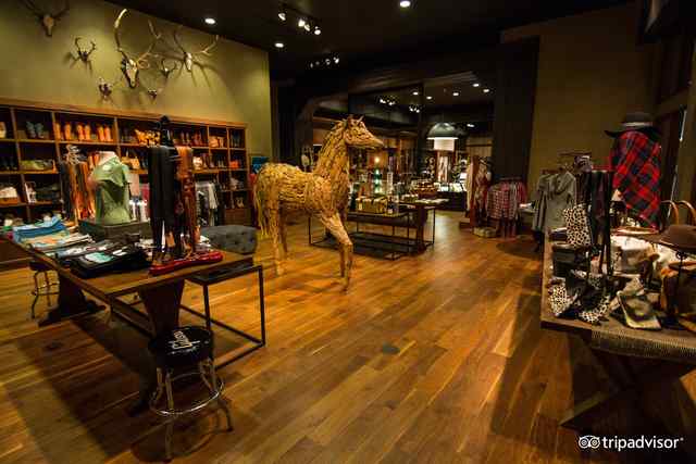 OMNI shop.jpeg OMNI shop.jpeg