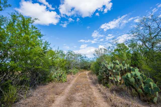 073e65601ed9.jpg 073e65601ed9.jpg