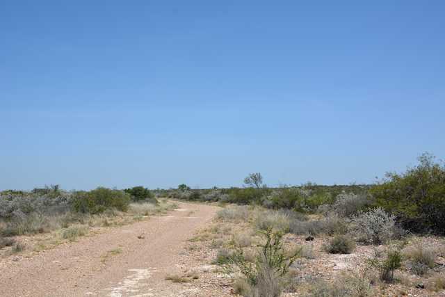 07ef8e5b68ff.jpg 07ef8e5b68ff.jpg