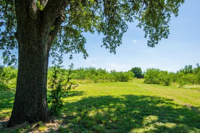 1bf6cdfd1c1c.jpg 1bf6cdfd1c1c.jpg