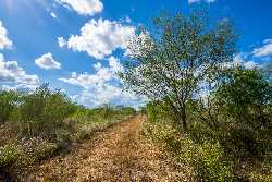 1c1783746759.jpg 1c1783746759.jpg