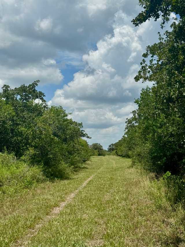 206c3412ba17.jpeg 206c3412ba17.jpeg