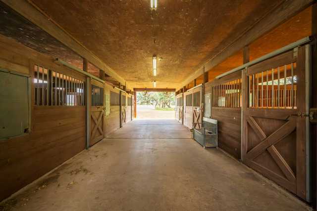 246d98eabe7a.jpg 246d98eabe7a.jpg