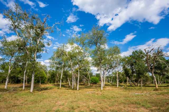 2c453a385886.jpg 2c453a385886.jpg