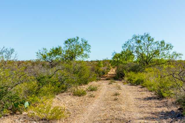 4438333aac99.jpg 4438333aac99.jpg