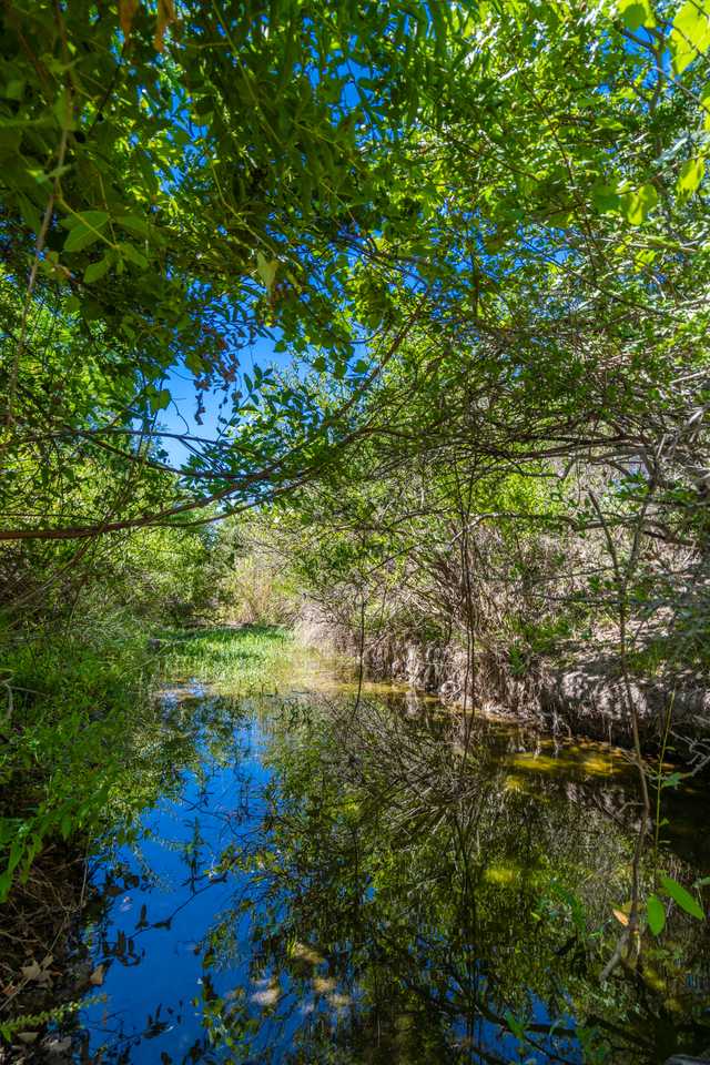 46bb64ba5b0f.jpg 46bb64ba5b0f.jpg