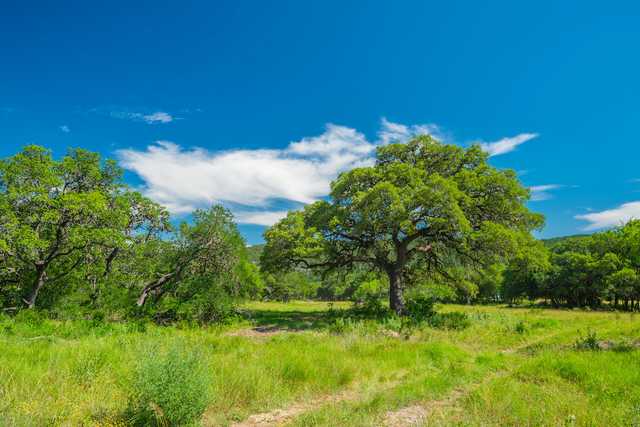 46f7b1f8dc61.jpeg 46f7b1f8dc61.jpeg