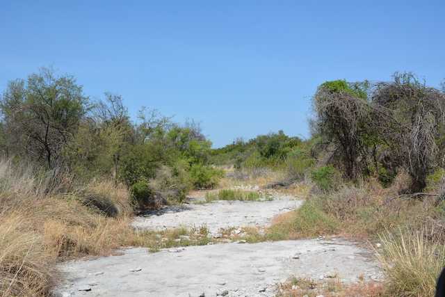 53951dbb0b20.jpg 53951dbb0b20.jpg