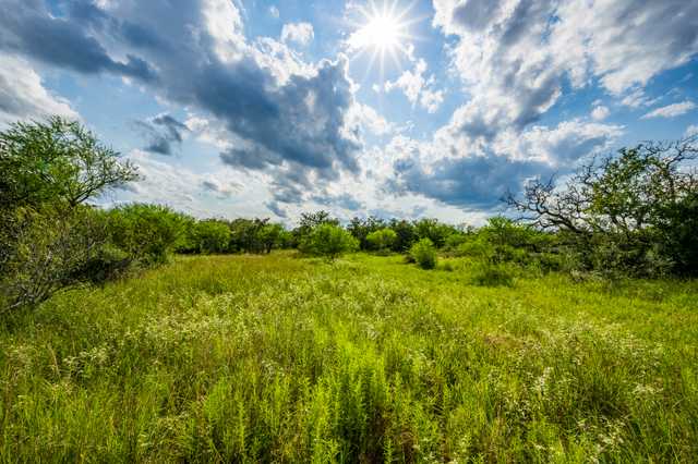 57a904e59017.jpg 57a904e59017.jpg