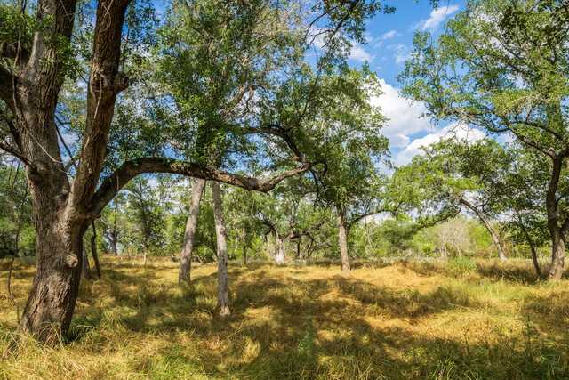 5cc0fa7f74c9.jpg 5cc0fa7f74c9.jpg