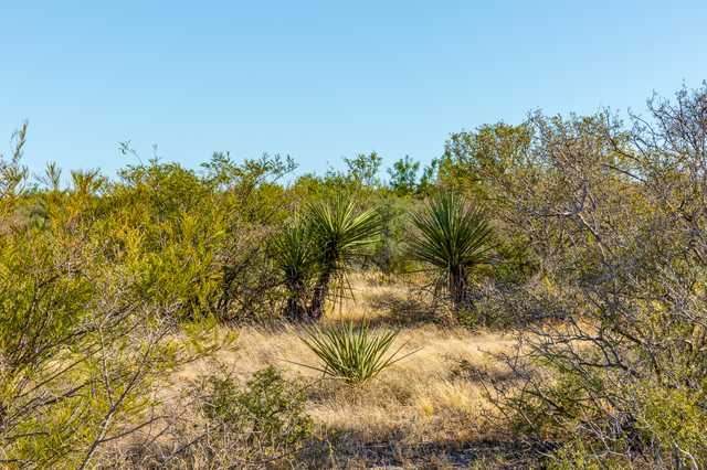 8ccacc7e4daa.jpg 8ccacc7e4daa.jpg