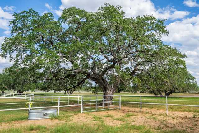 96a562aee2b5.jpg 96a562aee2b5.jpg