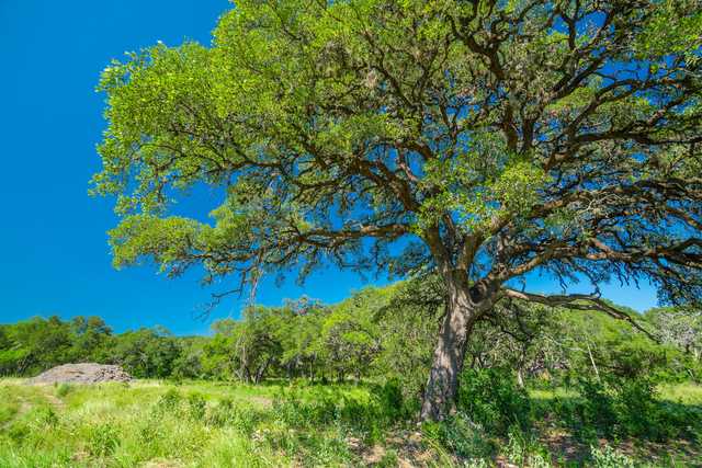 a670103ddc02.jpeg a670103ddc02.jpeg