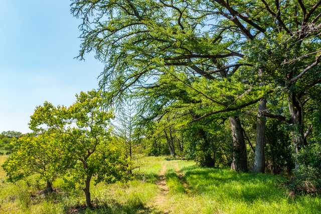 b15bd1a932c1.jpg b15bd1a932c1.jpg