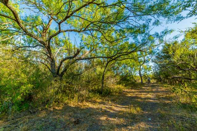 b31be33f1b17.jpg b31be33f1b17.jpg