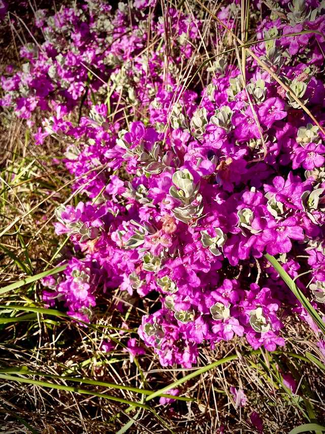 b4e1293df16d.jpeg b4e1293df16d.jpeg