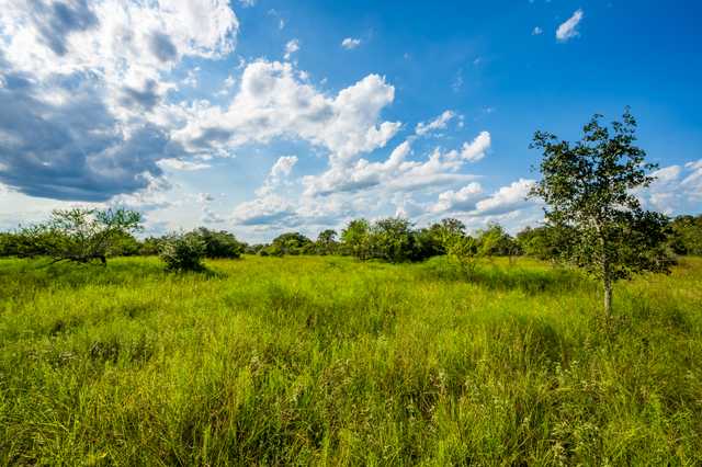 c6cafc2a6fcd.jpg c6cafc2a6fcd.jpg