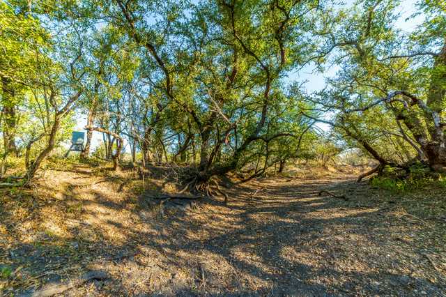 cc101090824a.jpg cc101090824a.jpg