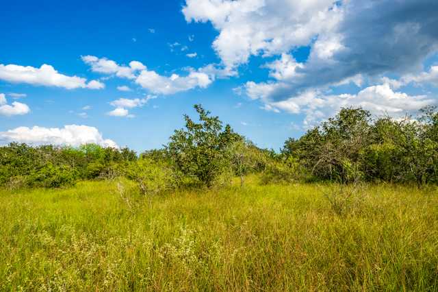 cdb2ad6d1167.jpg cdb2ad6d1167.jpg