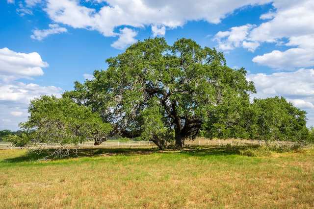 d0f7ff1536de.jpg d0f7ff1536de.jpg