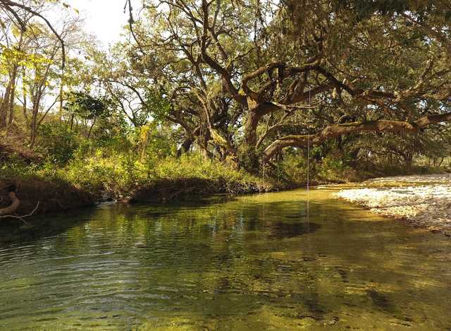 d353847178cd.jpeg d353847178cd.jpeg