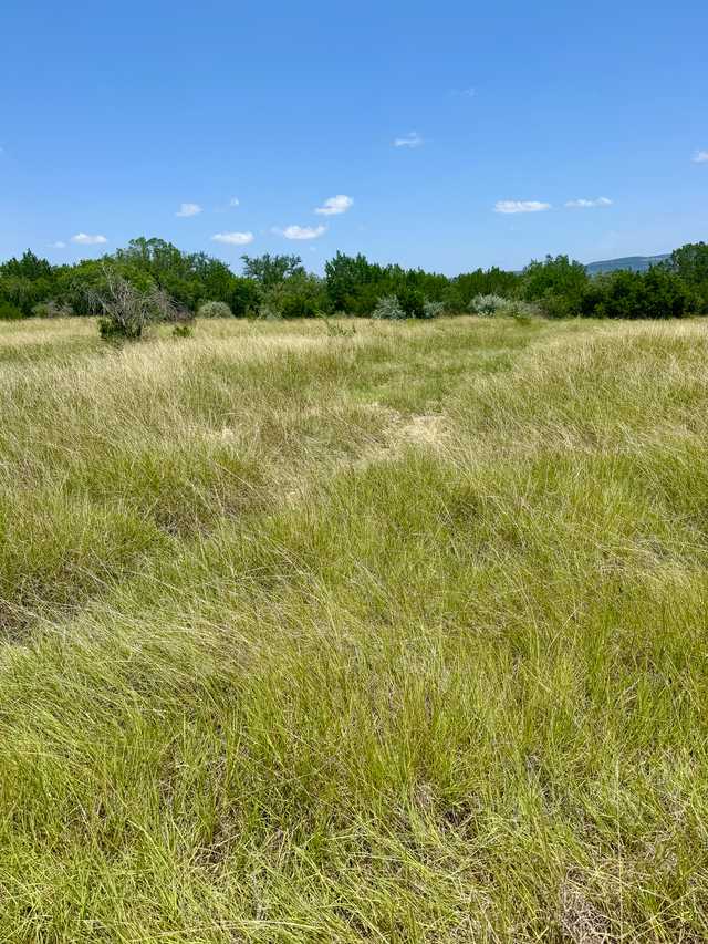 e59c7565cf8a.jpg e59c7565cf8a.jpg