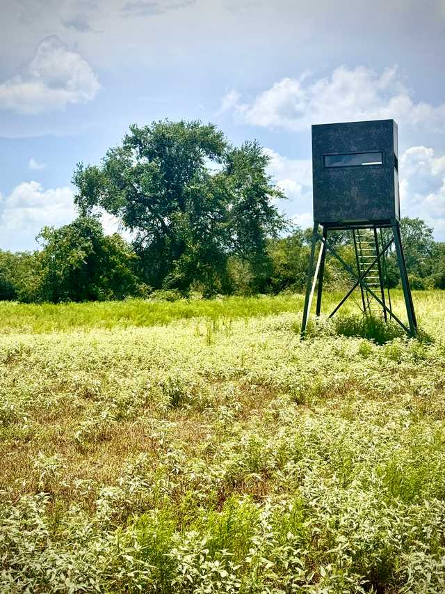 f7c354ca3dd4.jpeg f7c354ca3dd4.jpeg