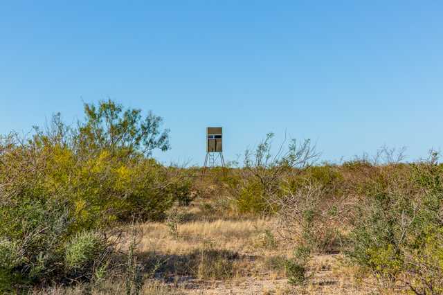 f917a9664ea9.jpg f917a9664ea9.jpg