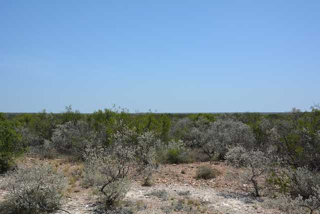 fea781fd61aa.jpg fea781fd61aa.jpg