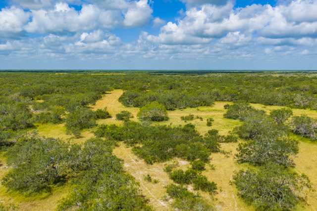 Mark Nix Ranch 1 Kingsville Drone High Res-13.jpg Mark Nix Ranch 1 Kingsville Drone High Res-13.jpg