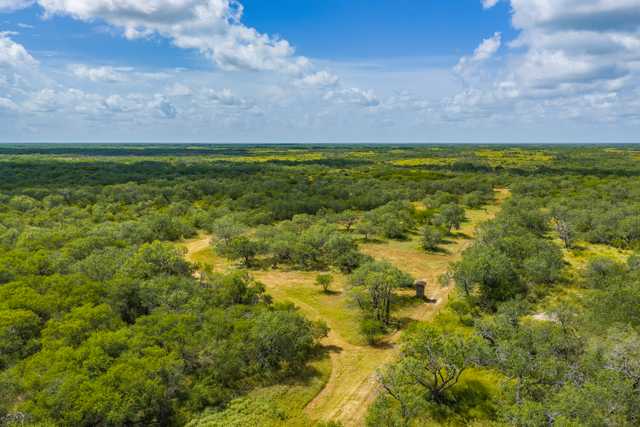 Mark Nix Ranch 1 Kingsville Drone High Res-37.jpg Mark Nix Ranch 1 Kingsville Drone High Res-37.jpg