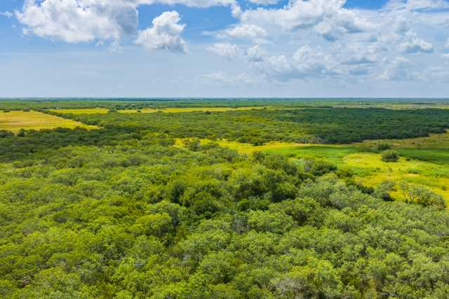 Mark Nix Ranch 2 KIngsville Drone High Res-21.jpg Mark Nix Ranch 2 KIngsville Drone High Res-21.jpg
