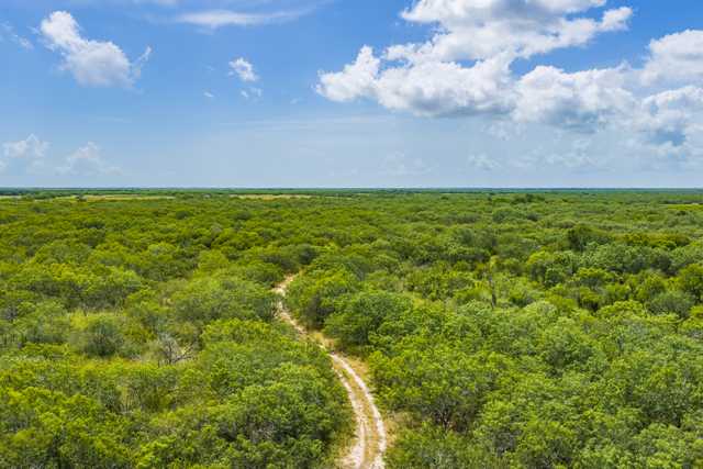 Mark Nix Ranch 2 KIngsville Drone High Res-3.jpg Mark Nix Ranch 2 KIngsville Drone High Res-3.jpg