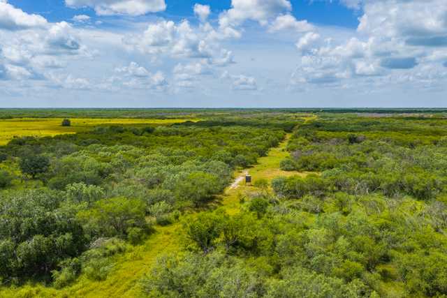 Mark Nix Ranch 2 KIngsville Drone High Res-36.jpg Mark Nix Ranch 2 KIngsville Drone High Res-36.jpg