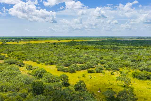 Mark Nix Ranch 2 KIngsville Drone Web Res-15.jpg Mark Nix Ranch 2 KIngsville Drone Web Res-15.jpg