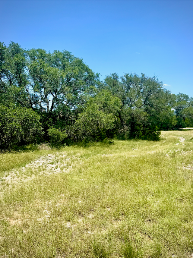 b230cd1ce00c.png b230cd1ce00c.png