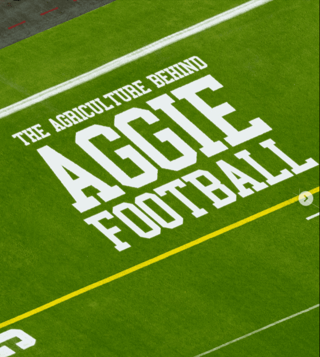 Did you know there is agriculture behind Aggie football?