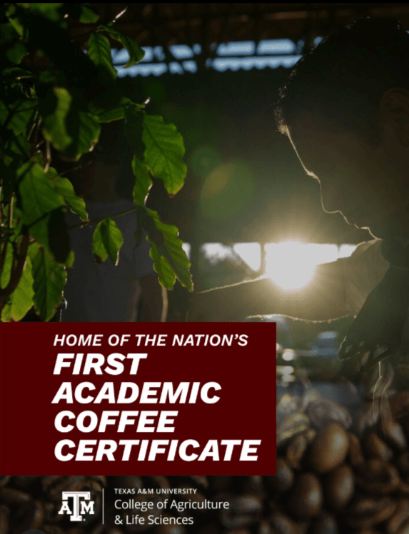 TAMU home of first academic coffee certificate