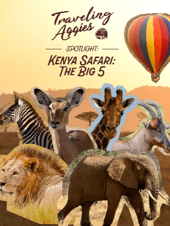 Kenya Safari: The Big 5!
