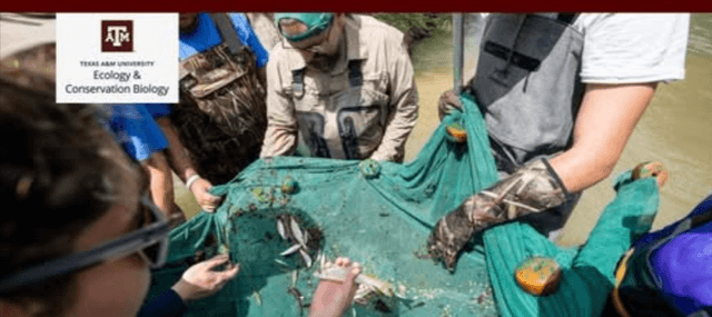 May 2026 ECCB Newsletter