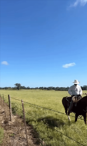 Come spend a day at Thomas Ranch