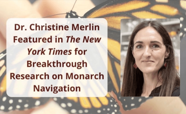 TAMU Chronobiologist Featured in New York Times