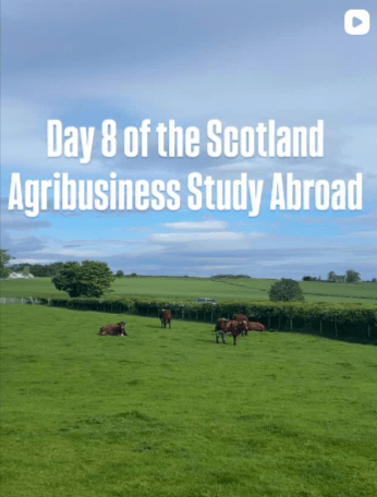 AgEc Study Abroad