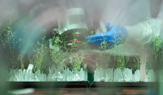 Texas A&M AgriLife Research is the state&rsquo;s premier research agency in agriculture