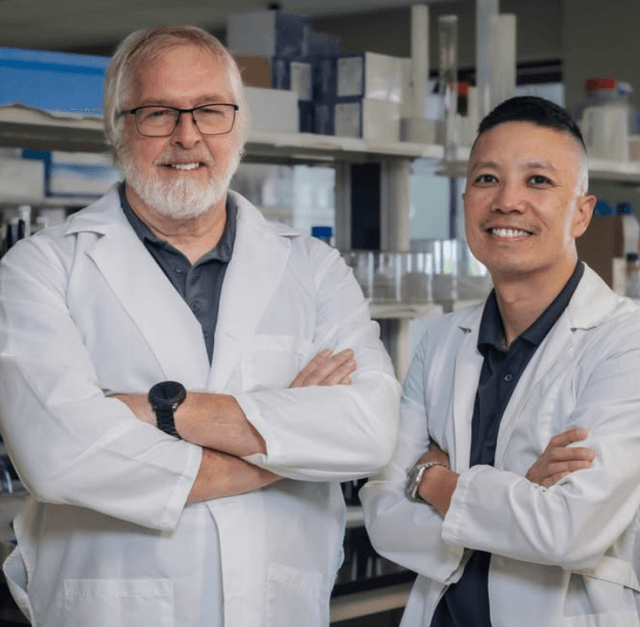 Researchers have identified a potential new strategy for slowing the progression of lung cancer