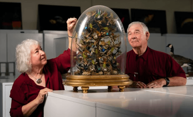 The Turners: a rare specimen of Aggie generosity